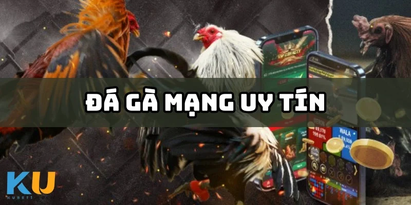 Đá Gà Mạng Uy Tín - Thế Giới Giải Trí Hấp Dẫn Và Minh Bạch da ga mang uy tin